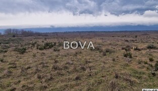 Poljoprivredno zemlji&scaron;te 3300 m2 &ndash; Grbe *Pravilan oblik* (ID-2600/E)